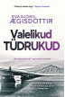 Valelikud tüdrukud_e-raamat