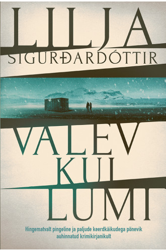 Valev kui lumi_e-raamat