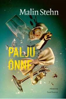 Palju õnne_e-raamat Palju õnne_e-raamat