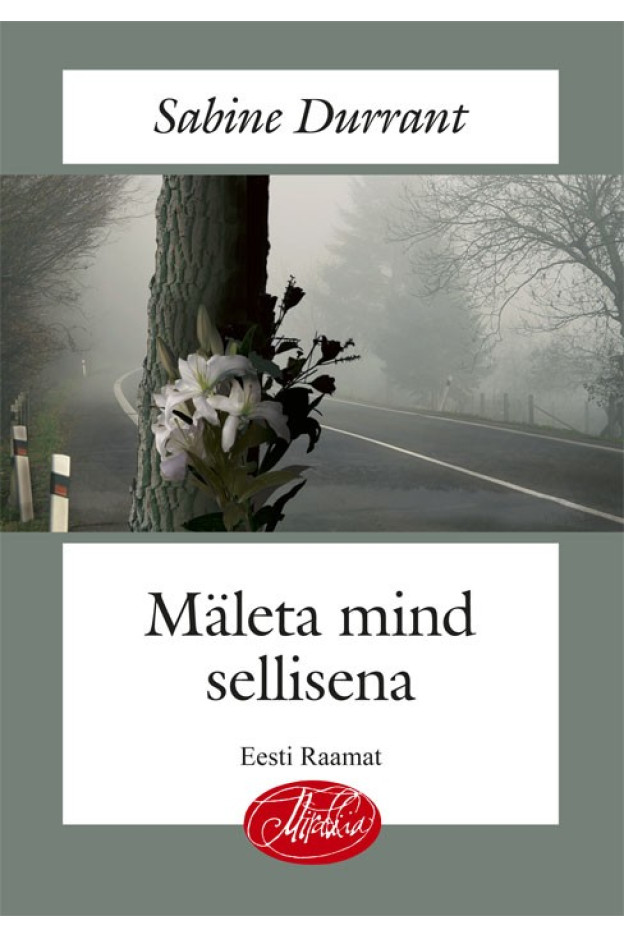 Mäleta mind sellisena e-raamat 