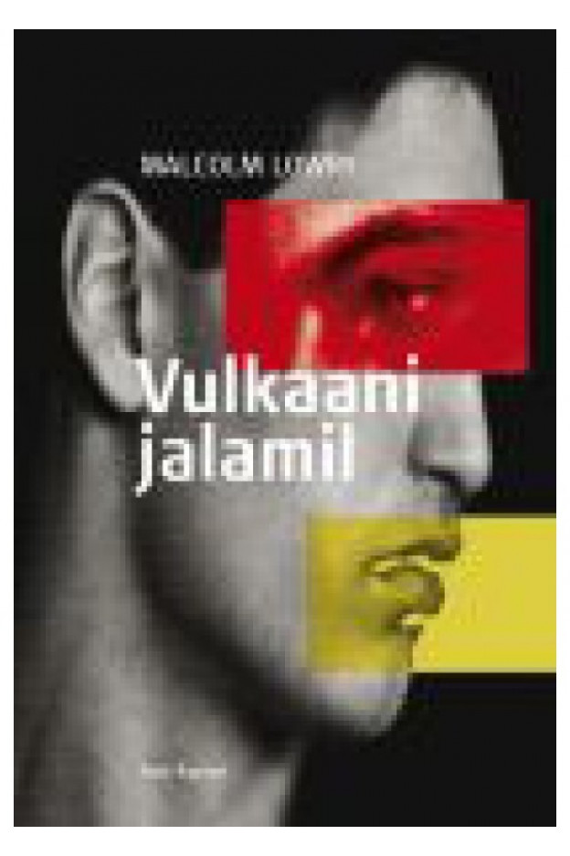 VULKAANI JALAMIL ILUKIRJANDUS