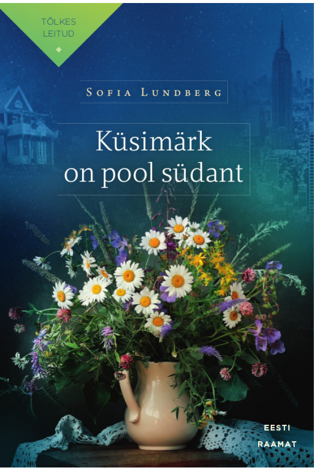 Küsimärk on pool südant e-raamat E-raamatud